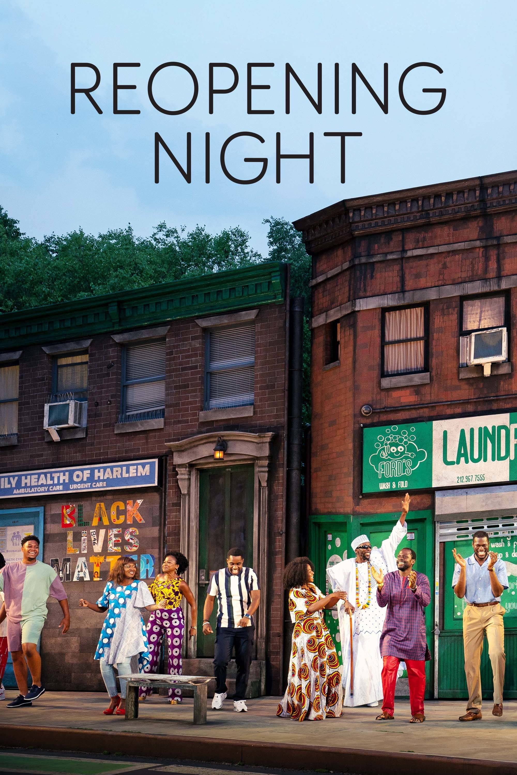 Постер Reopening Night
